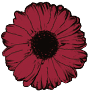 Hartolan Kukkakauppa ja Hautaustoimisto Ky-logo